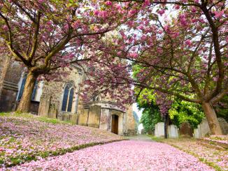 sevenoaks